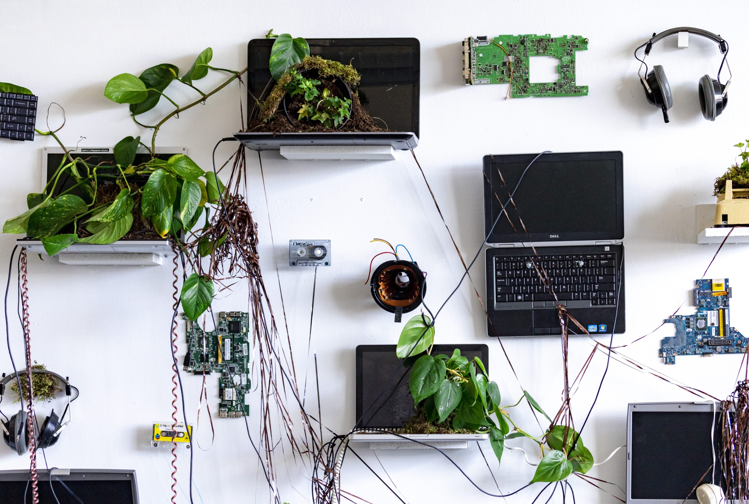 Green plants spill from wall-mounted laptops among exposed circuit boards, headphones, and hanging cables.